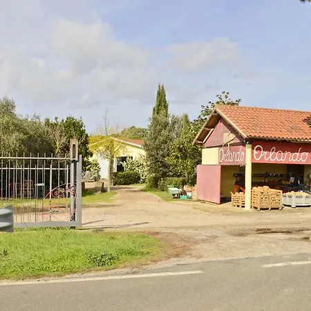 Lägenhet Podere La Fonte *